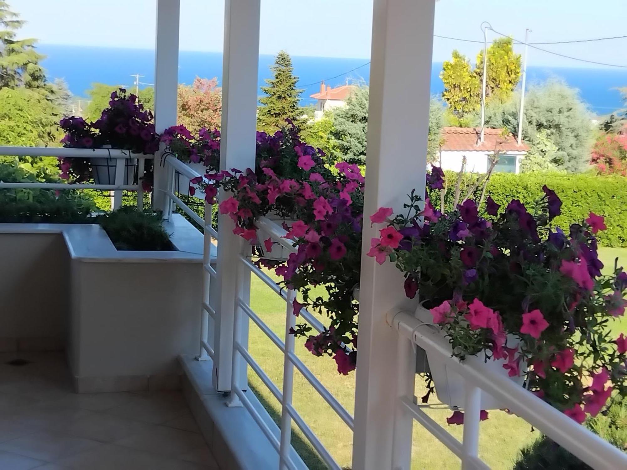 Tammy'S Garden House Villa Leptokarya  Exterior photo